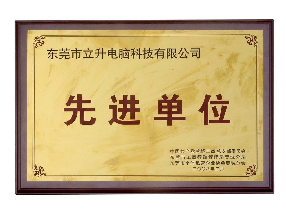 2008年先进单位证书